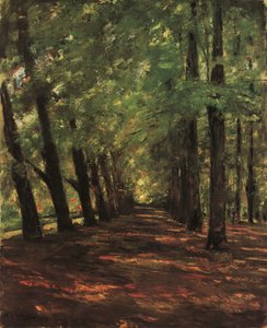 Allee i Overveen